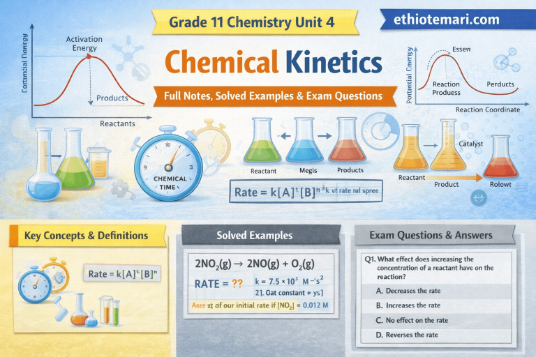 Chemical Kinetics: Notes, Solved Examples & Exam Questions | Grade 11 Chemistry Unit 4